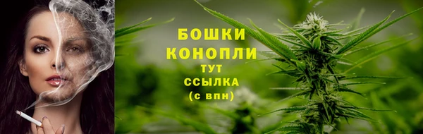 бошки Арсеньев