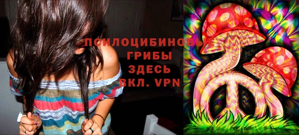 mix Аркадак