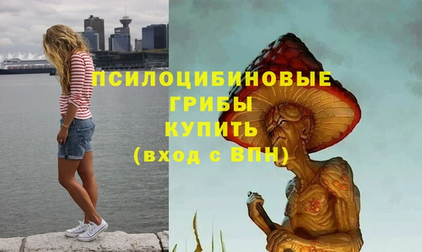 крисы Магас