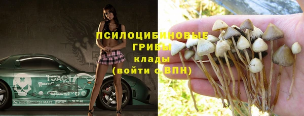 бошки Арсеньев